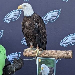 Meet your Posher, Brenda